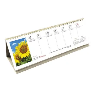 Michalczyk i Prokop 290x100 Stolní kalendář 290mm x 100mm (t-095-2-1)