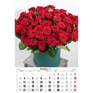 Vícepanelový pruhovaný nástěnný kalendář Avanti 285 mm x 420 mm (5901769620476)