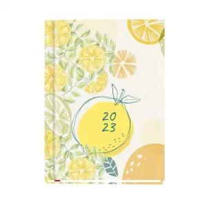 Michalczyk i Prokop Ola A6 148mm x 210mm (T-212V-C,N,P,S,Z) Knižní kalendář (rozvrh)