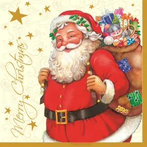 Vánoční ubrousky Pol-mak - mix 330 mm x 330 mm (SL GW)