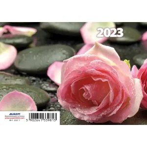 Avanti 70mm x 105mm (5901769620629) knižní kalendář (diář)