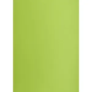 Brystol Creatinio green light B1 light green 225g 1k (400150267)
