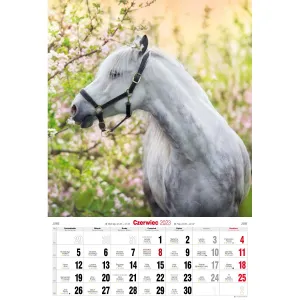 Vícepanelový pruhovaný nástěnný kalendář Avanti 285 mm x 420 mm (5901769620483)