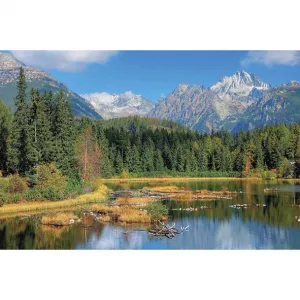 Michalczyk i Prokop trojskladový nástěnný kalendář 855 mm x 315 mm (T-105T-06)