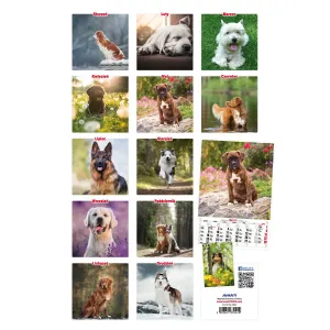 Nástěnný kalendář Avanti s pruhy 285 mm x 410 mm (5901769621107)