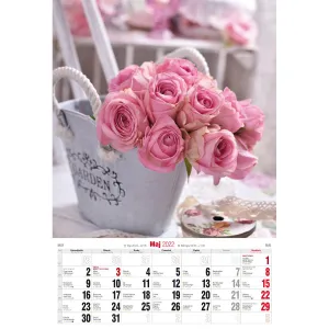 Vícepanelový pruhovaný nástěnný kalendář Avanti 285 mm x 420 mm (5901769620476)