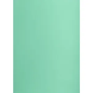 Brystol Creatinio tyrkys B1 tyrkys 225g 1k (400150265)