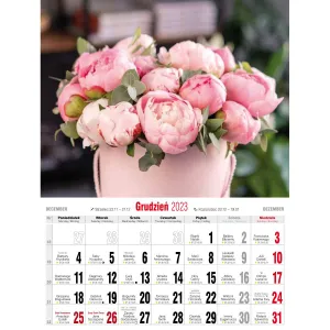 Vícepanelový nástěnný kalendář Avanti 230 mm x 320 mm (5901769620056)