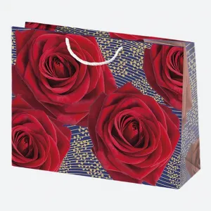 Dárková taška Pol-mak 300 mm x 230 mm x 100 mm (T6)