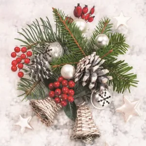 Ubrousky Pol-mak s hvězdičkou - mix 330 mm x 330 mm (Sd GW)