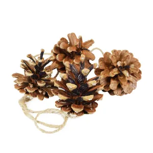 Vánoční ozdoby Arpex přírodní šišky (BN4138)