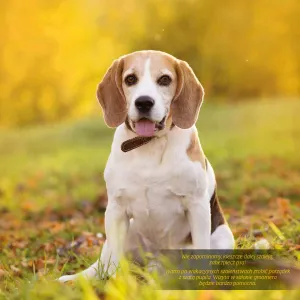 Vícepanelový nástěnný kalendář Avanti 300 mm x 600 mm (KAD-10)