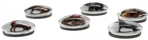 Kulatý magnet Fun&Joy ANIMALS - mix ø 30 mm