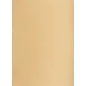 TOP-2000 A1 světle hnědá 160g 25k 610mm x 860mm bristol (400149527)