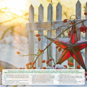 Vícepanelový nástěnný kalendář Avanti 300 mm x 600 mm (5901769620407)