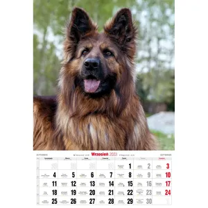 Nástěnný kalendář Avanti s pruhy 285 mm x 410 mm (5901769621107)