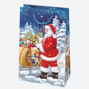 Dárková taška Pol-mak 160 mm x 240 mm x 70 mm (T3)