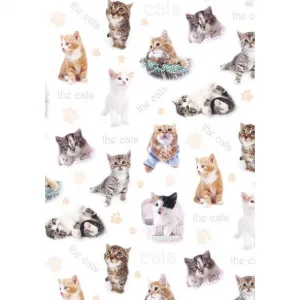 Dekorační papír Pol-mak - mix 700 mm x 1000 mm