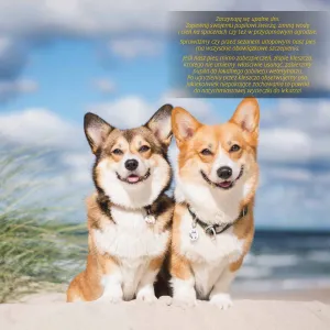 Vícepanelový nástěnný kalendář Avanti 300 mm x 600 mm (KAD-10)