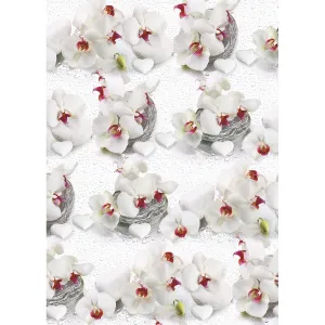 Dekorační papír Pol-mak - mix 700 mm x 1000 mm