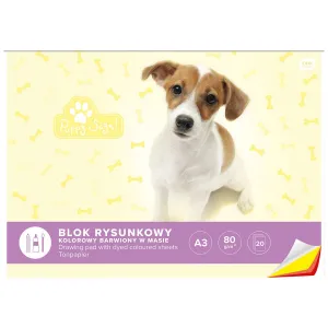 Kreslicí blok Interdruk A3 barevný 60g 20k 420mm x 297mm (BLRA3K)