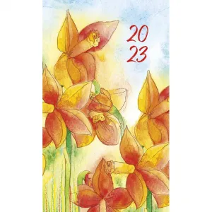 Michalczyk i Prokop mini 87mm x 145mm (01-08) knižní kalendář (rozvrh)