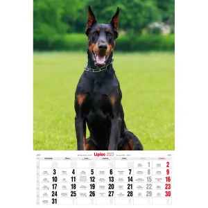 Nástěnný kalendář Avanti s pruhy 285 mm x 410 mm (5901769621107)