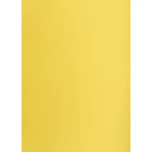 Brystol Creatinio žlutá B1 žlutá 225g 1k (400150264)