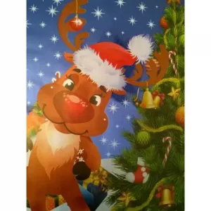 Dárková fólie 250 mm x 400 mm (D)