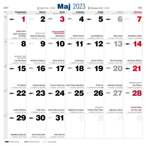 Vícepanelový nástěnný kalendář Avanti 300 mm x 600 mm (5901769620971)