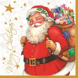 Vánoční ubrousky Pol-mak - mix 330 mm x 330 mm (SL GW)