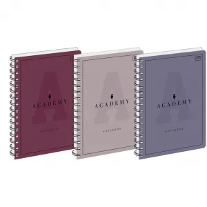Interdruk ACADEMY notebook A5 100k. Kontrola 90g (5902277299307)