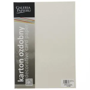 Dekorační papír (vizitkový) Galeria Papieru Ornament bílý 230g 20 listů A4 - bílý 230g (205103)