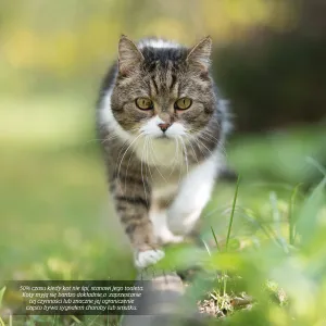 Vícepanelový nástěnný kalendář Avanti 300 mm x 300 mm (KAD-9)
