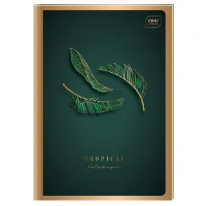 Interdruk Brulion B5 96k. 70g kontrola (BRB596P)