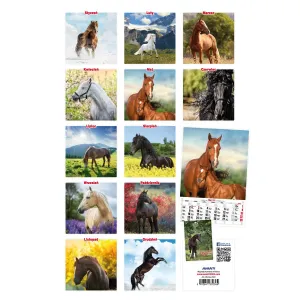 Vícepanelový pruhovaný nástěnný kalendář Avanti 285 mm x 420 mm (5901769620483)