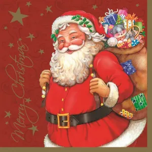 Vánoční ubrousky Pol-mak - mix 330 mm x 330 mm (SL GW)