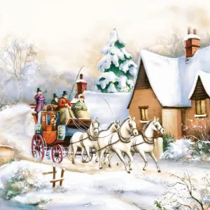 Ubrousky Pol-mak s hvězdičkou - mix 330 mm x 330 mm (Sd GW)