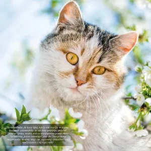 Vícepanelový nástěnný kalendář Avanti 300 mm x 300 mm (KAD-9)