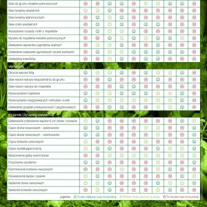 Vícepanelový nástěnný kalendář Avanti 300 mm x 600 mm (5901769620407)