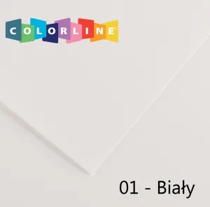 Canson Colorline 01 bílá 150g 10k 500mm x 650mm (200041377)
