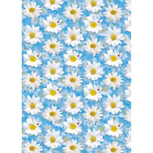 Dekorační papír Pol-mak - mix 700 mm x 1000 mm