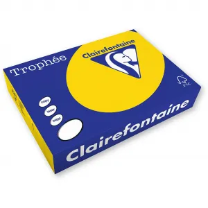 Barevný papír Trophee A4 - slunečnice 80g (xca41978)