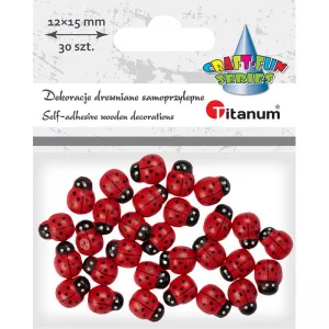 Titanum Craft-Fun Series dřevěná ozdoba berušky (12x15mm)