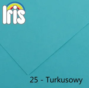 Canson Iris 25 B1 tyrkysová 240g 25k 700 mm x 1000 mm čtvereční (200040464)