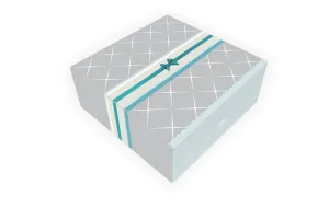 Archivní krabice Beniamin - stříbrná 230 mm x 230 mm x 105 mm