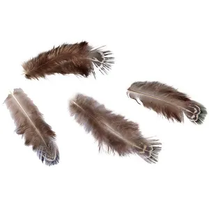Titanum Craft-Fun peří 3g hnědé (A19HT018)