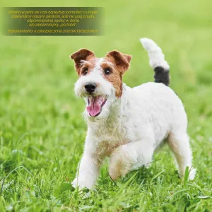 Vícepanelový nástěnný kalendář Avanti 300 mm x 600 mm (KAD-10)