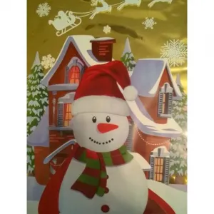 Dárková fólie 250 mm x 400 mm (D)