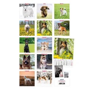 Nástěnný kalendář Avanti s pruhy 285 mm x 410 mm (5901769621107)